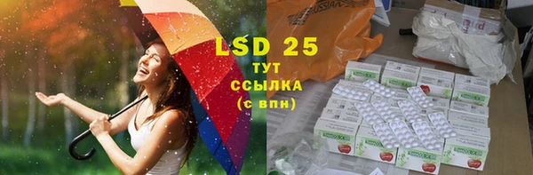 крисы Зерноград