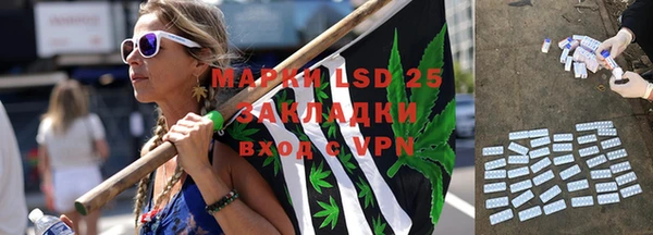 крисы Зерноград