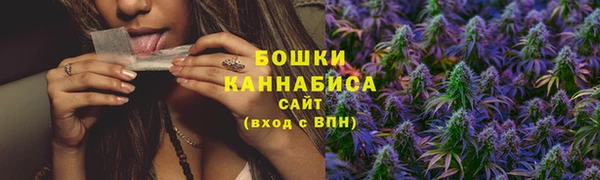 крисы Зерноград