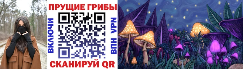 Галлюциногенные грибы Psilocybe  Купить  Калтан 